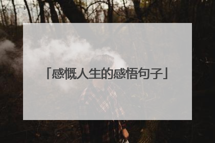 感慨人生的感悟句子