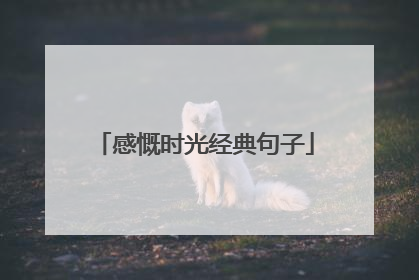 感慨时光经典句子