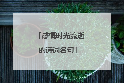 感慨时光流逝的诗词名句