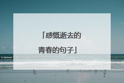 感慨逝去的青春的句子