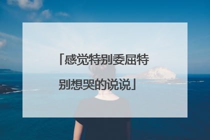 感觉特别委屈特别想哭的说说