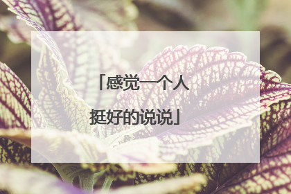 感觉一个人挺好的说说