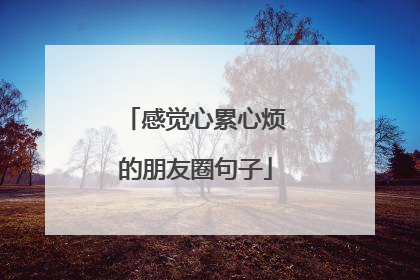 感觉心累心烦的朋友圈句子