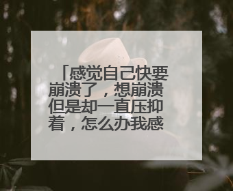感觉自己快要崩溃了,想崩溃但是却一直压抑着,怎么办我感觉我撑不下去了?