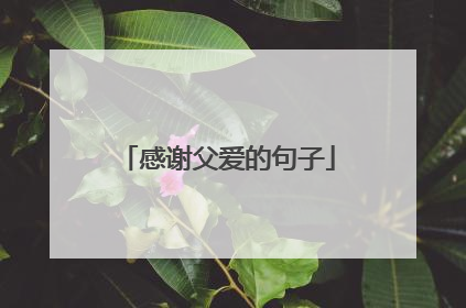 感谢父爱的句子