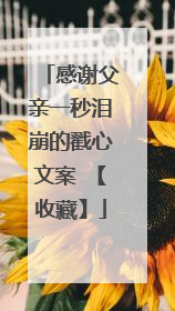 感谢父亲一秒泪崩的戳心文案 【收藏】