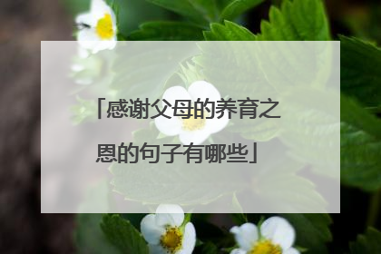 感谢父母的养育之恩的句子有哪些