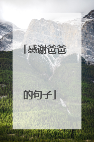 感谢爸爸的句子