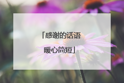 感谢的话语 暖心简短