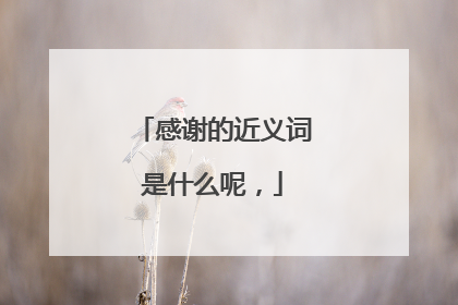感谢的近义词是什么呢，