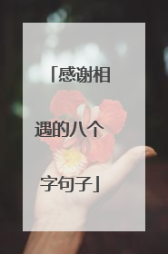 感谢相遇的八个字句子