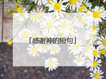 感谢神的短句