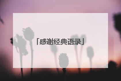 感谢经典语录
