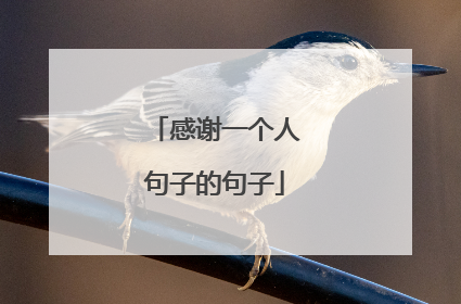 感谢一个人句子的句子