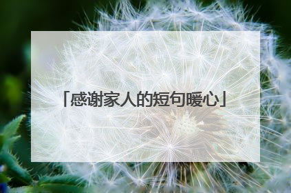 感谢家人的短句暖心