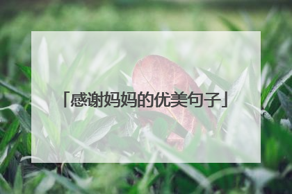 感谢妈妈的优美句子