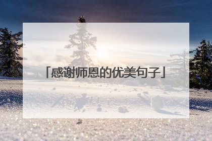 感谢师恩的优美句子