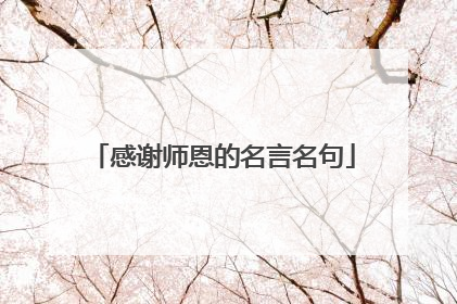 感谢师恩的名言名句