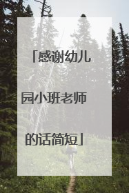 感谢幼儿园小班老师的话简短