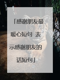 感谢朋友最暖心短句 表示感谢朋友的话短句