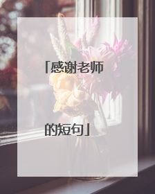 感谢老师的短句