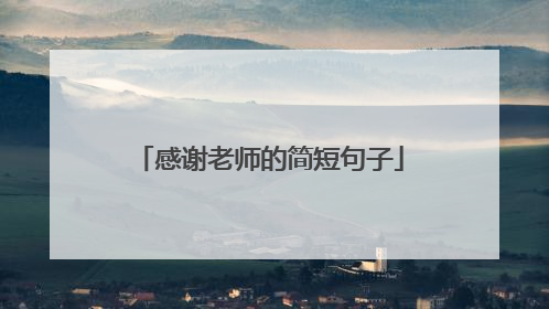 感谢老师的简短句子