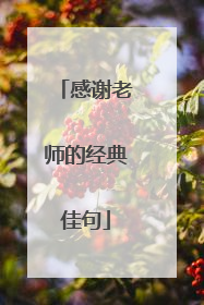 感谢老师的经典佳句