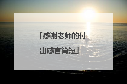 感谢老师的付出感言简短