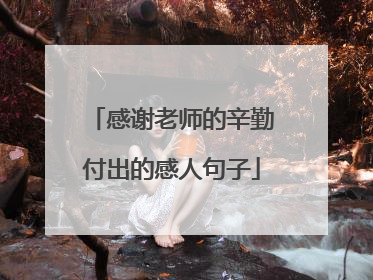 感谢老师的辛勤付出的感人句子