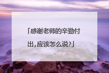 感谢老师的辛勤付出,应该怎么说?