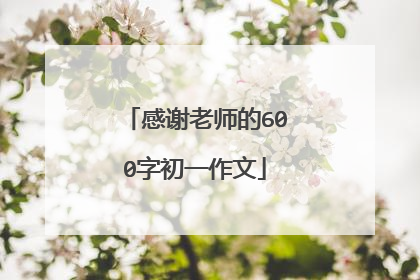 感谢老师的600字初一作文