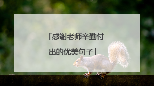 感谢老师辛勤付出的优美句子