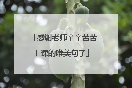 感谢老师辛辛苦苦上课的唯美句子