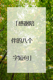 感谢陪伴的八个字短句