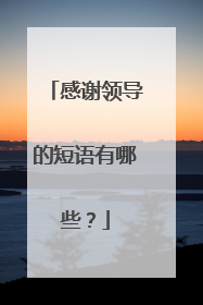 感谢领导的短语有哪些？
