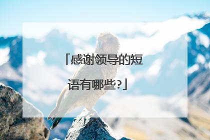 感谢领导的短语有哪些?