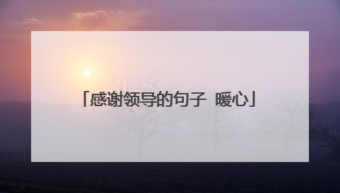 感谢领导的句子 暖心