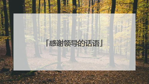 感谢领导的话语