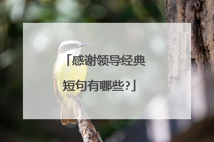 感谢领导经典短句有哪些?