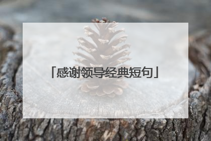 感谢领导经典短句