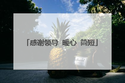 感谢领导 暖心 简短