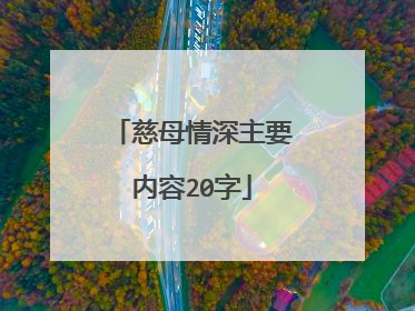 慈母情深主要内容20字