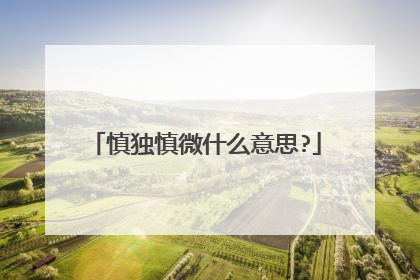 慎独慎微什么意思?