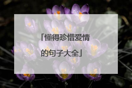 懂得珍惜爱情的句子大全