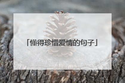 懂得珍惜爱情的句子
