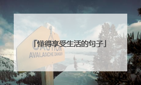懂得享受生活的句子