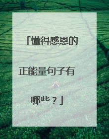 懂得感恩的正能量句子有哪些?