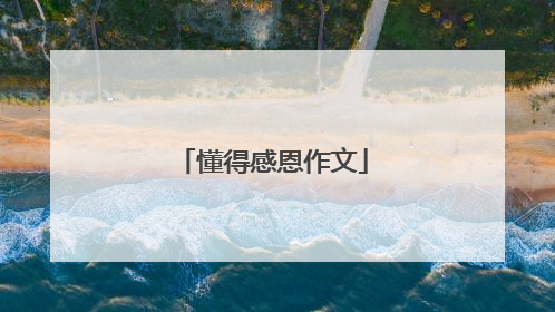 懂得感恩作文
