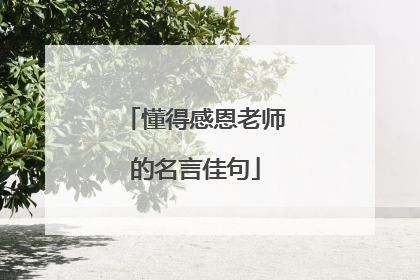 懂得感恩老师的名言佳句