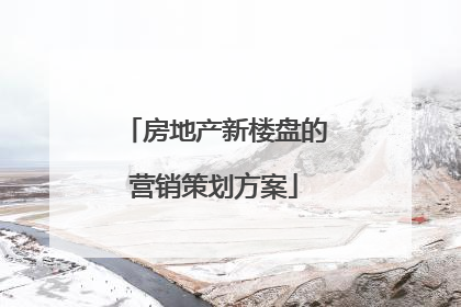 房地产新楼盘的营销策划方案